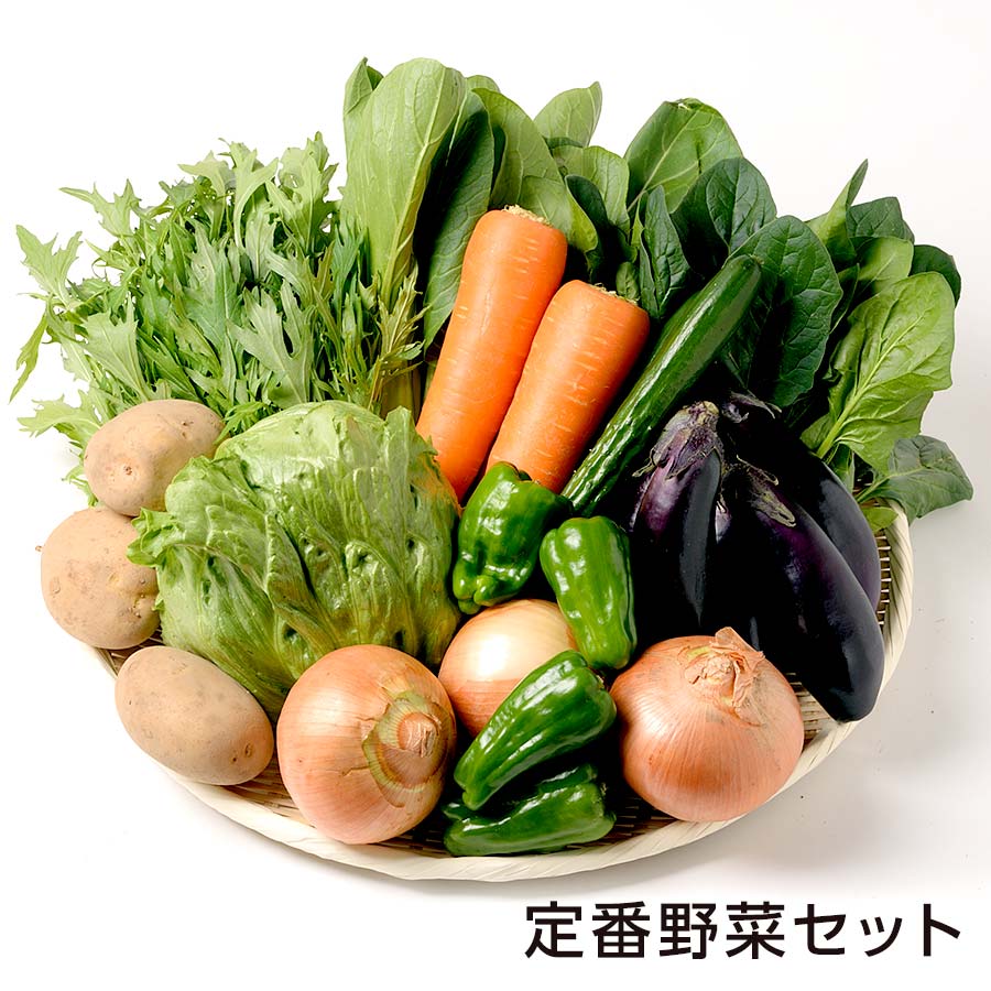 京都錦河一が厳選した新鮮定番野菜セット【河一商店】