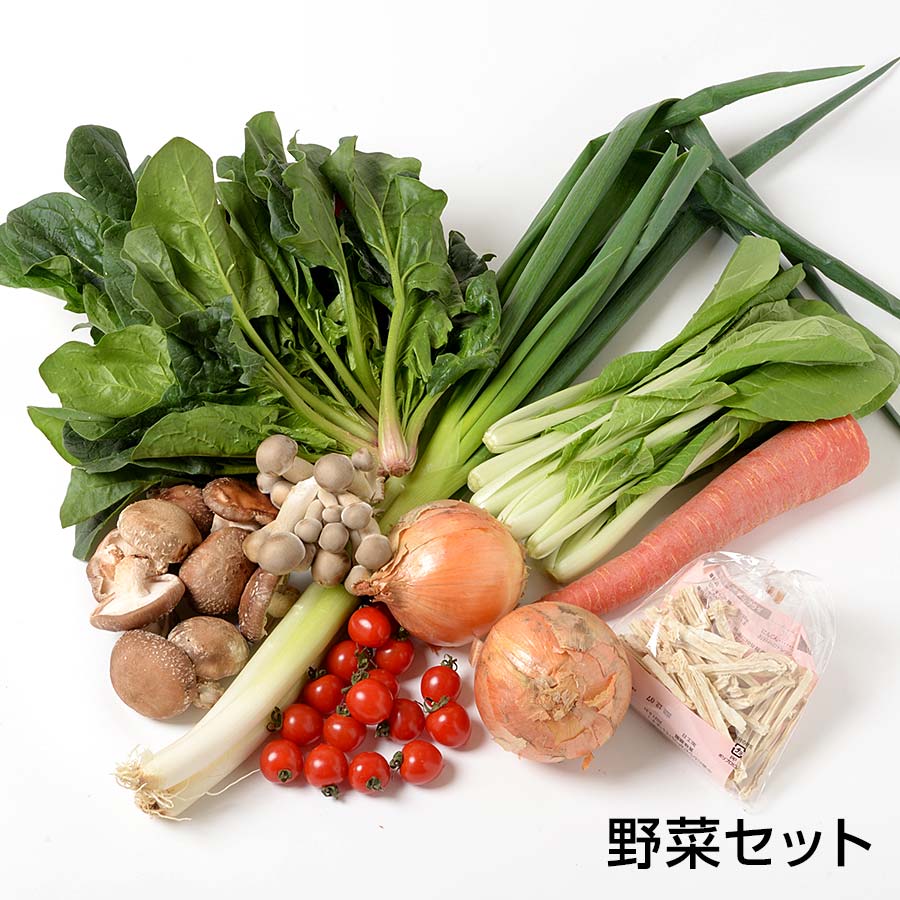 野菜セット【京野菜 四寅】