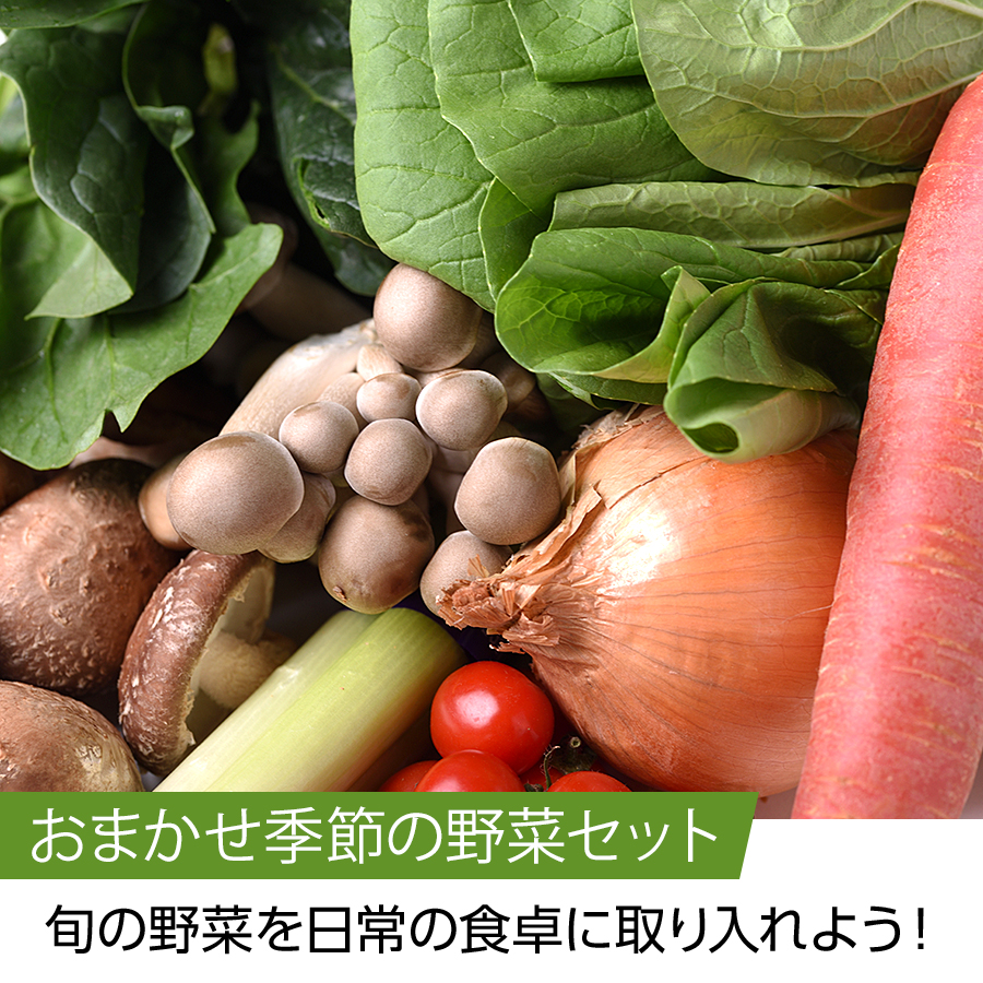 野菜セット【京野菜 四寅】