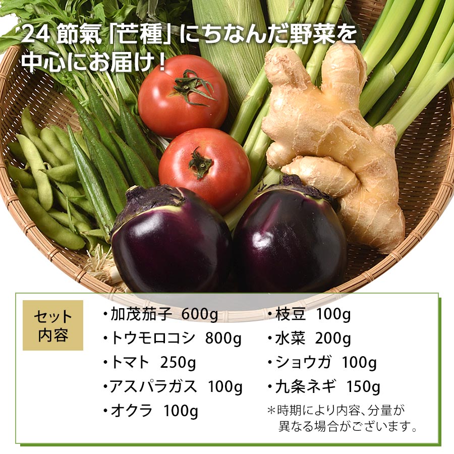 野菜のプロが厳選！おまかせ季節の京野菜セット【錦厳選セット】