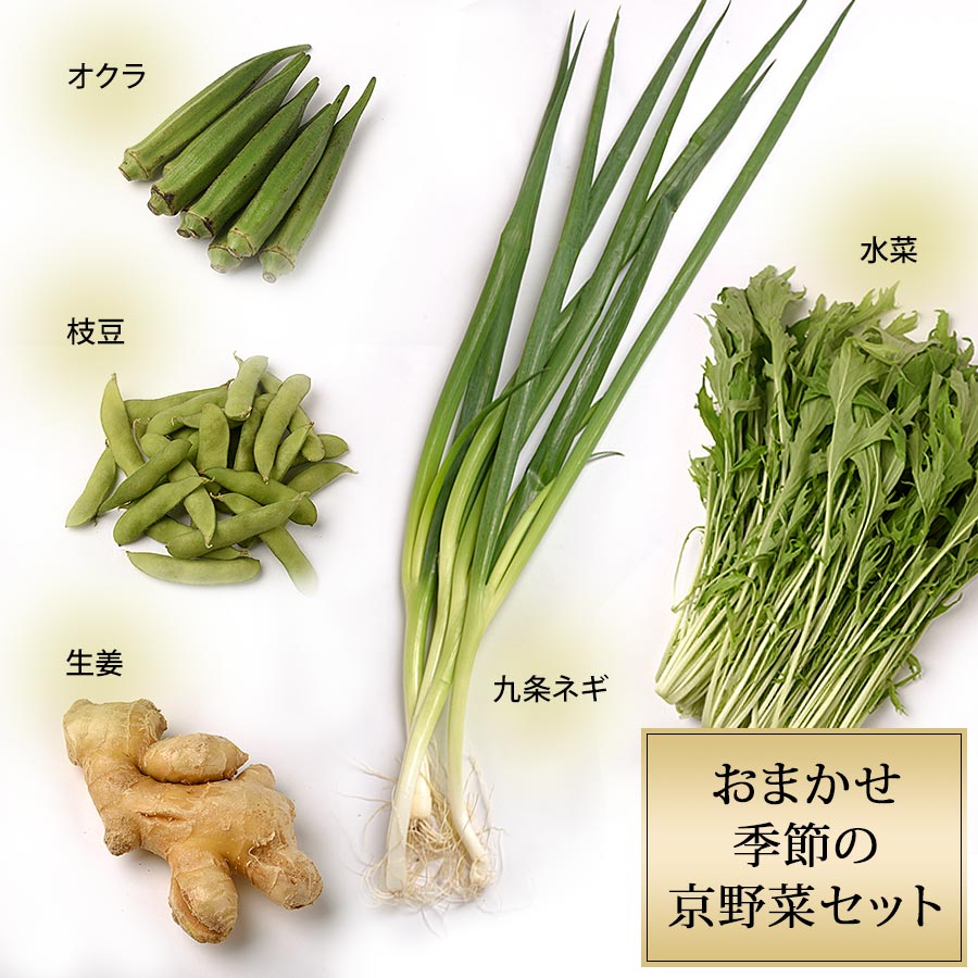 野菜のプロが厳選！おまかせ季節の京野菜セット【錦厳選セット】