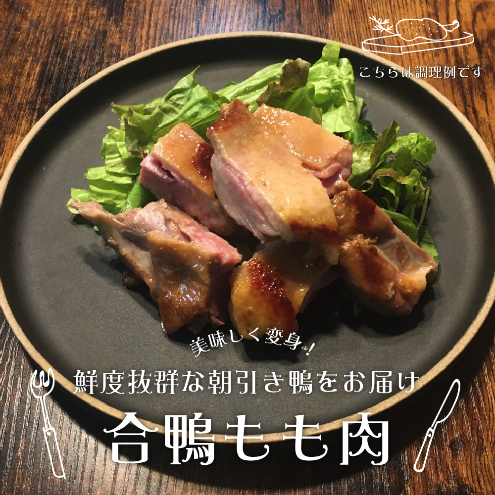 鳥豊＿もも肉